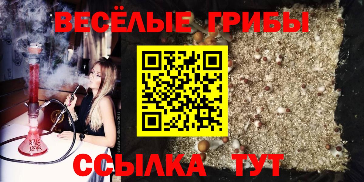 Псилоцибиновые грибы мицелий  Псилоцибиновые грибы Cubensis  Вход с VPN  Жигулёвск 
